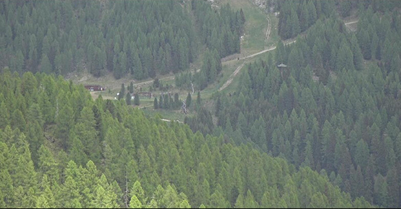 Webcam Сан-Мартино-ди-Кастроцца - Пассо-Ролле - Ces - Malga Valcigolera