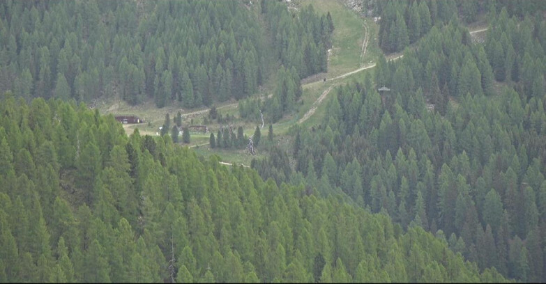 Webcam Сан-Мартино-ди-Кастроцца - Пассо-Ролле - Ces - Malga Valcigolera