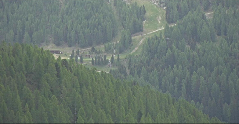 Webcam Сан-Мартино-ди-Кастроцца - Пассо-Ролле - Ces - Malga Valcigolera