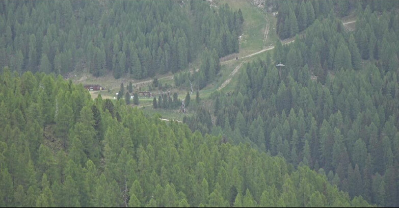 Webcam Сан-Мартино-ди-Кастроцца - Пассо-Ролле - Ces - Malga Valcigolera