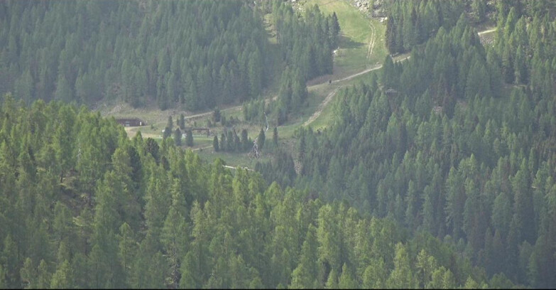 Webcam Сан-Мартино-ди-Кастроцца - Пассо-Ролле - Ces - Malga Valcigolera