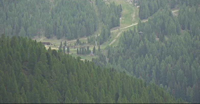 Webcam Сан-Мартино-ди-Кастроцца - Пассо-Ролле - Ces - Malga Valcigolera