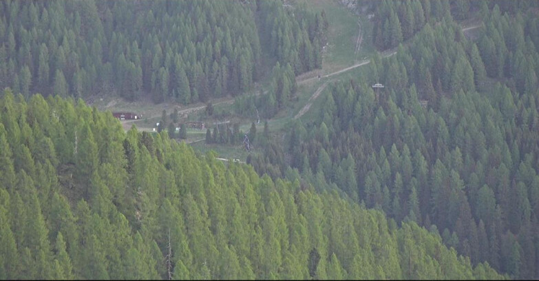 Webcam Сан-Мартино-ди-Кастроцца - Пассо-Ролле - Ces - Malga Valcigolera