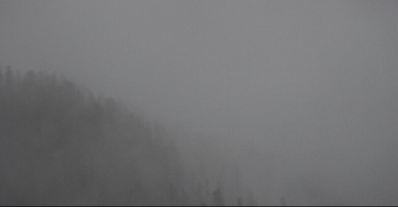 Webcam San Martino di Castrozza - Passo Rolle - Ces - Malga Valcigolera