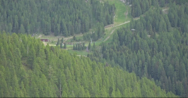 Webcam San Martino di Castrozza - Passo Rolle  - Ces - Malga Valcigolera