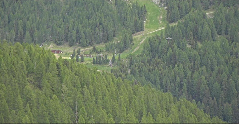 Webcam San Martino di Castrozza - Passo Rolle  - Ces - Malga Valcigolera