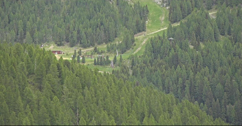 Webcam San Martino di Castrozza - Passo Rolle  - Ces - Malga Valcigolera