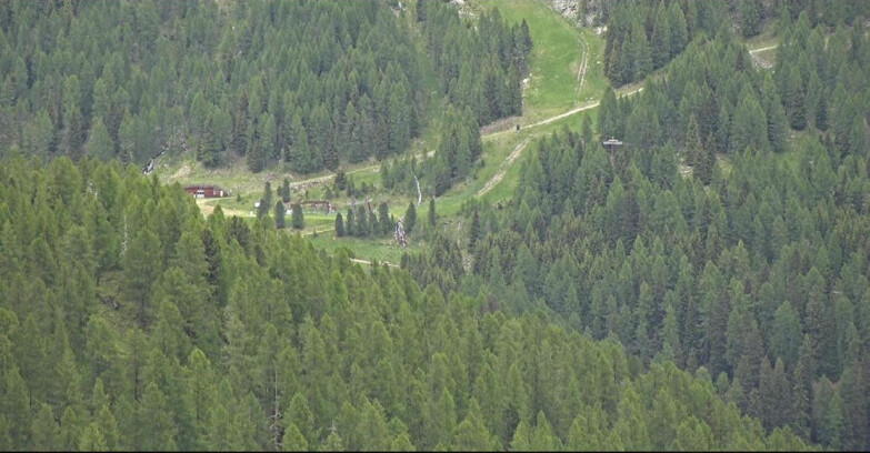 Webcam San Martino di Castrozza - Passo Rolle  - Ces - Malga Valcigolera