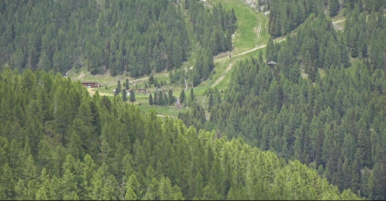 Webcam San Martino di Castrozza - Passo Rolle  - Ces - Malga Valcigolera