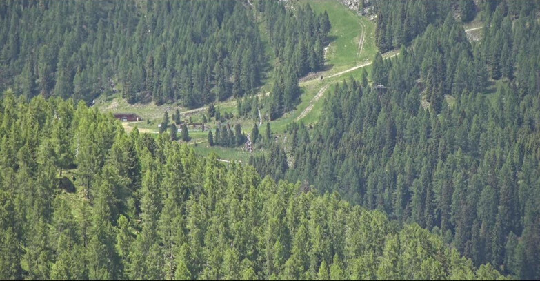 Webcam San Martino di Castrozza - Passo Rolle  - Ces - Malga Valcigolera