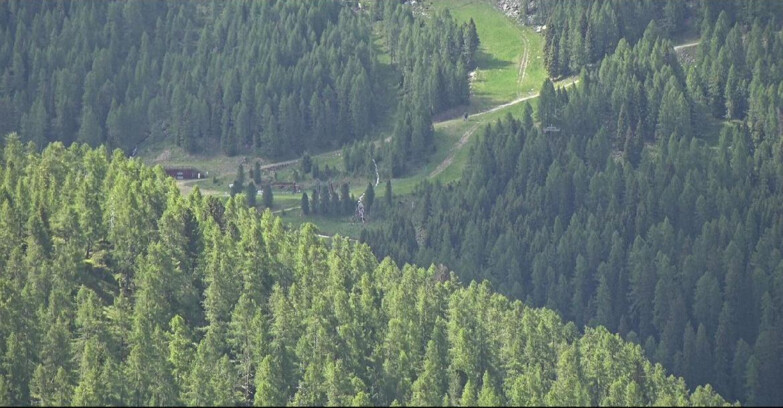Webcam San Martino di Castrozza - Passo Rolle  - Ces - Malga Valcigolera
