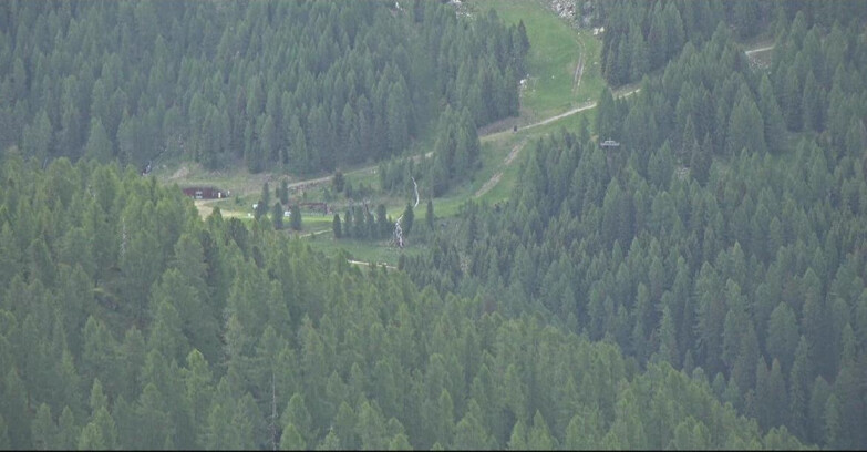 Webcam San Martino di Castrozza - Passo Rolle  - Ces - Malga Valcigolera