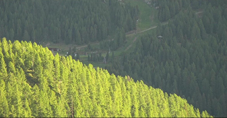 Webcam San Martino di Castrozza - Passo Rolle  - Ces - Malga Valcigolera