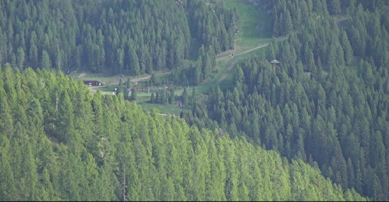 Webcam San Martino di Castrozza - Passo Rolle  - Ces - Malga Valcigolera