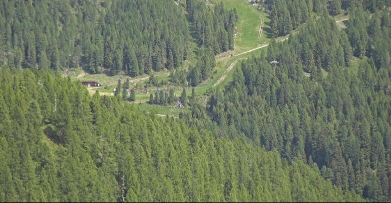 Webcam San Martino di Castrozza - Passo Rolle - Ces - Malga Valcigolera