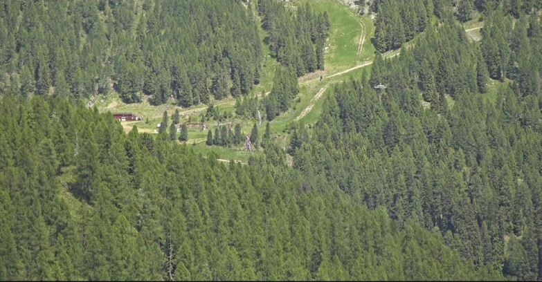 Webcam San Martino di Castrozza - Passo Rolle - Ces - Malga Valcigolera