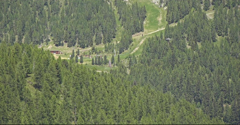 Webcam San Martino di Castrozza - Passo Rolle - Ces - Malga Valcigolera