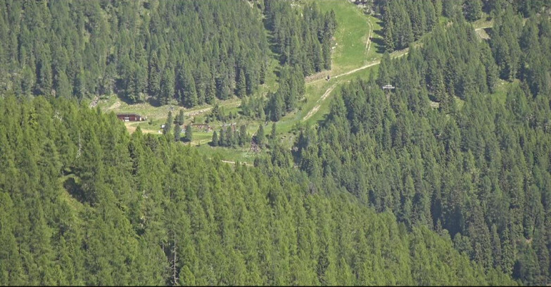 Webcam San Martino di Castrozza - Passo Rolle - Ces - Malga Valcigolera
