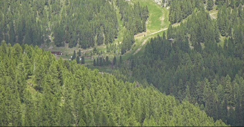 Webcam San Martino di Castrozza - Passo Rolle - Ces - Malga Valcigolera