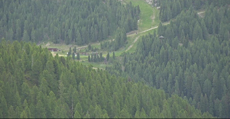 Webcam San Martino di Castrozza - Passo Rolle - Ces - Malga Valcigolera