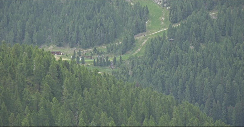 Webcam San Martino di Castrozza - Passo Rolle - Ces - Malga Valcigolera