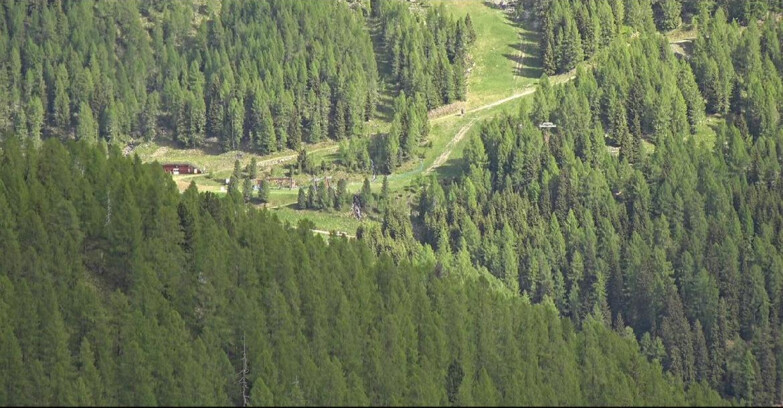 Webcam San Martino di Castrozza - Passo Rolle - Ces - Malga Valcigolera