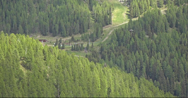 Webcam San Martino di Castrozza - Passo Rolle - Ces - Malga Valcigolera