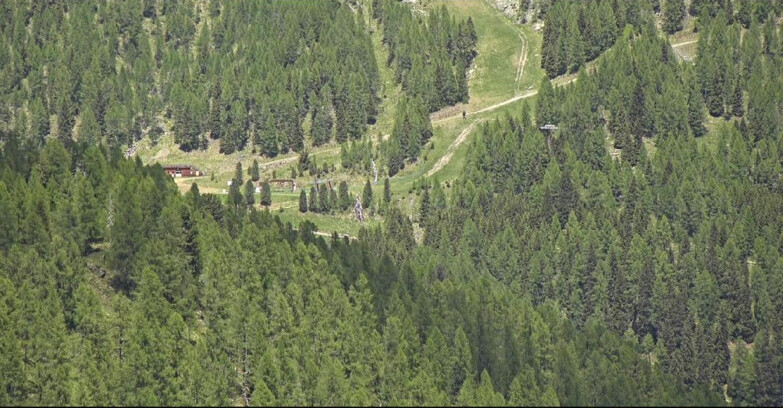 Webcam San Martino di Castrozza - Passo Rolle - Ces - Malga Valcigolera