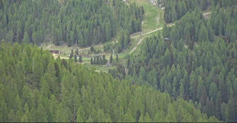 Webcam San Martino di Castrozza - Passo Rolle - Ces - Malga Valcigolera