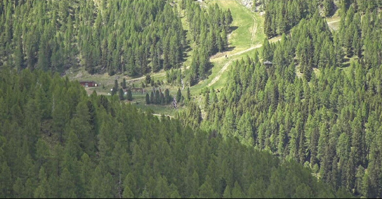 Webcam San Martino di Castrozza - Passo Rolle - Ces - Malga Valcigolera