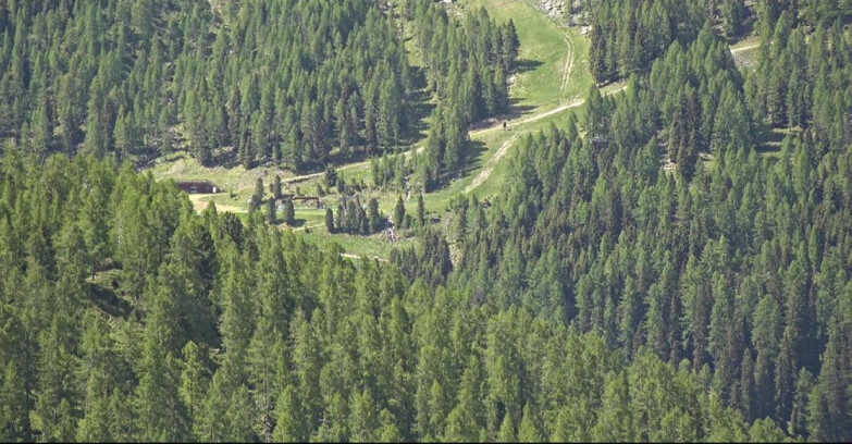 Webcam San Martino di Castrozza - Passo Rolle - Ces - Malga Valcigolera