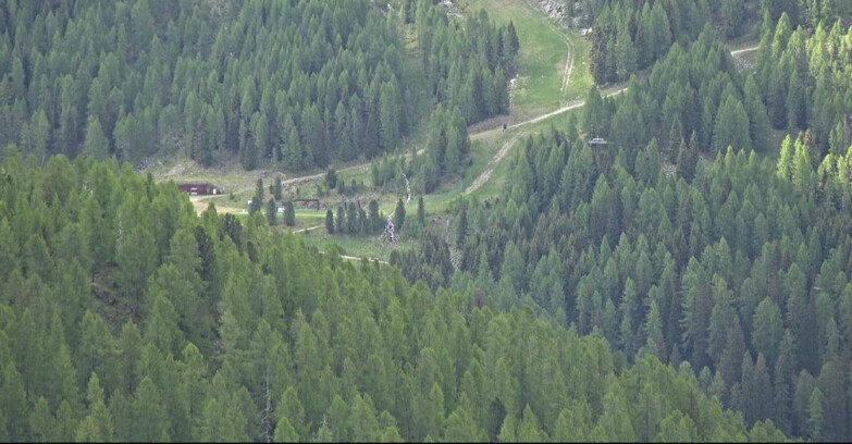 Webcam San Martino di Castrozza - Passo Rolle - Ces - Malga Valcigolera