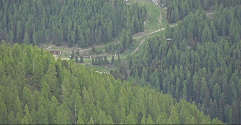 Webcam San Martino di Castrozza - Passo Rolle - Ces - Malga Valcigolera