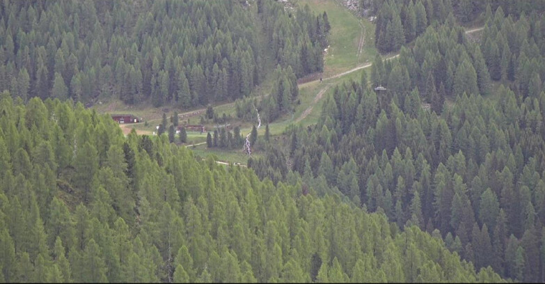 Webcam San Martino di Castrozza - Passo Rolle - Ces - Malga Valcigolera