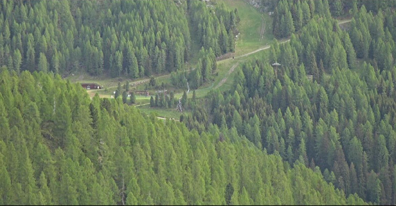 Webcam San Martino di Castrozza - Passo Rolle - Ces - Malga Valcigolera