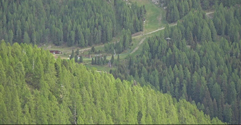 Webcam San Martino di Castrozza - Passo Rolle - Ces - Malga Valcigolera