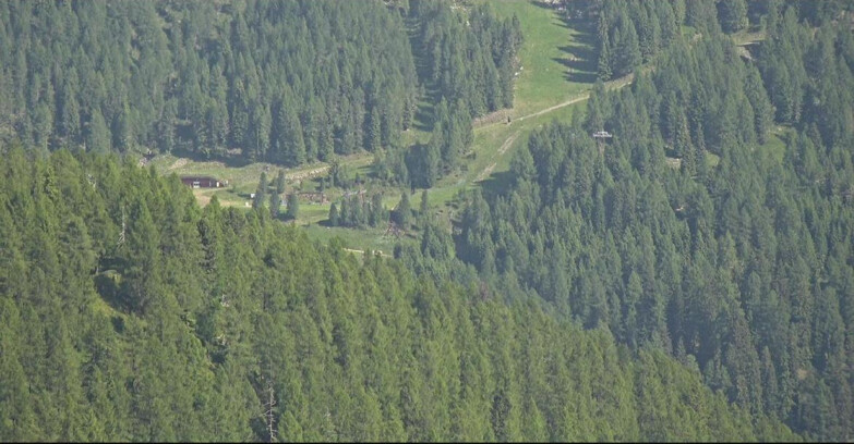 Webcam San Martino di Castrozza - Passo Rolle - Ces - Malga Valcigolera