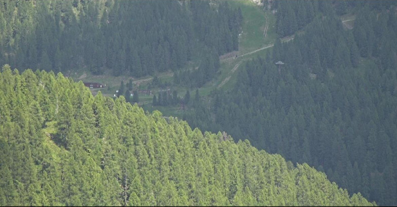 Webcam San Martino di Castrozza - Passo Rolle - Ces - Malga Valcigolera