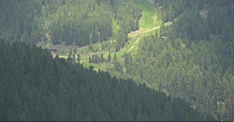 Webcam San Martino di Castrozza - Passo Rolle - Ces - Malga Valcigolera