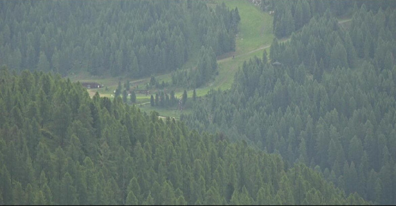 Webcam San Martino di Castrozza - Passo Rolle - Ces - Malga Valcigolera