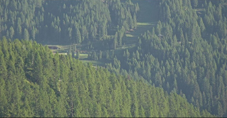 Webcam San Martino di Castrozza - Passo Rolle - Ces - Malga Valcigolera
