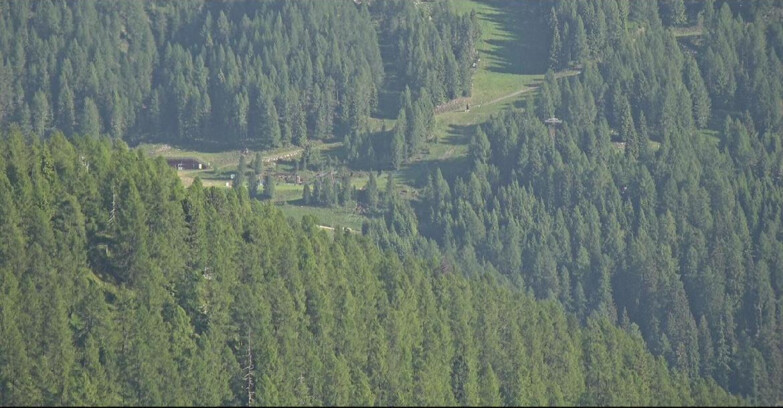 Webcam San Martino di Castrozza - Passo Rolle - Ces - Malga Valcigolera