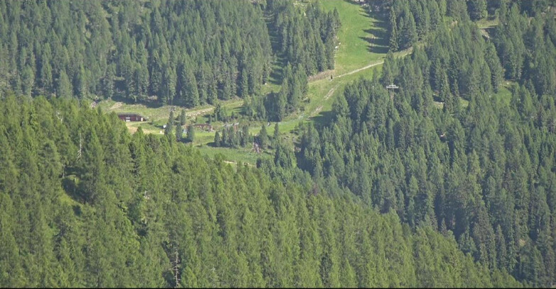 Webcam San Martino di Castrozza - Passo Rolle - Ces - Malga Valcigolera