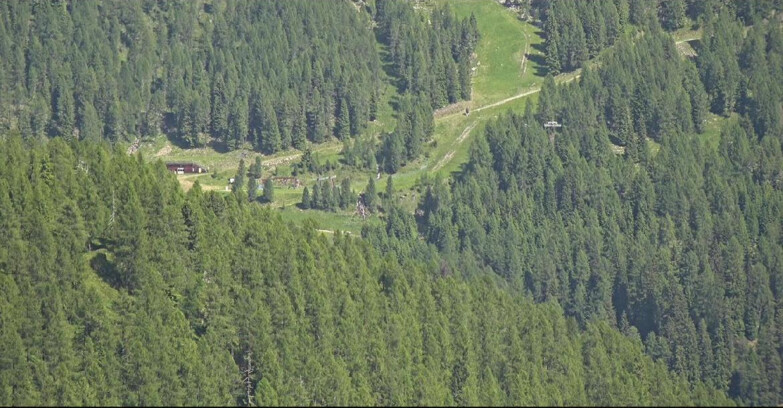 Webcam San Martino di Castrozza - Passo Rolle - Ces - Malga Valcigolera