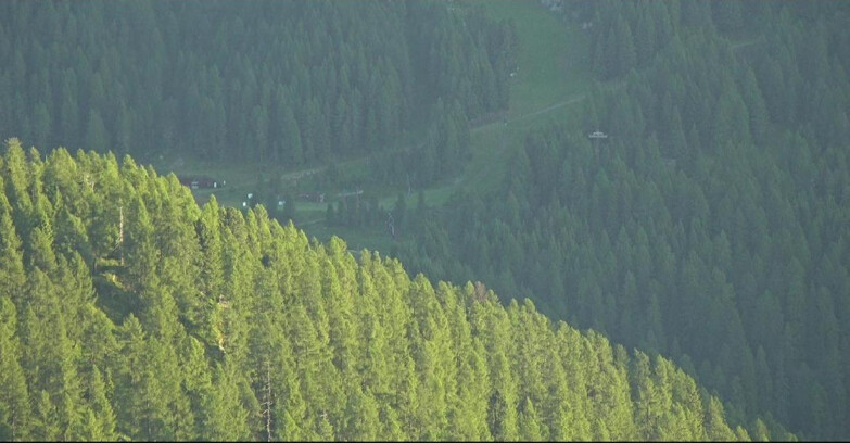 Webcam San Martino di Castrozza - Passo Rolle - Ces - Malga Valcigolera