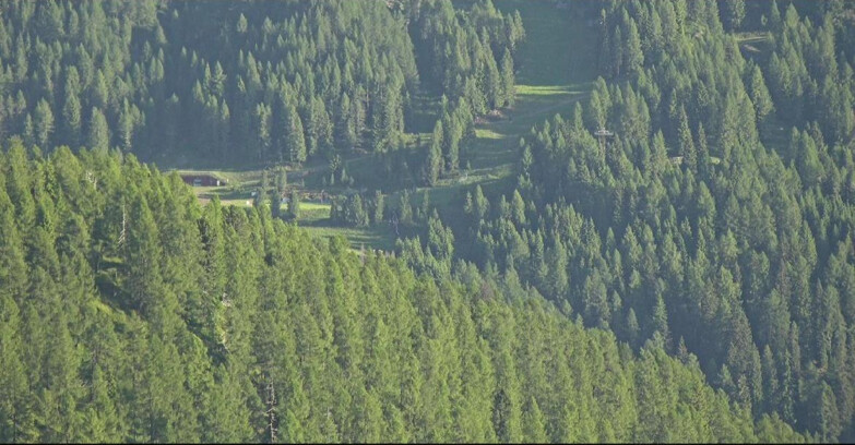 Webcam San Martino di Castrozza - Passo Rolle - Ces - Malga Valcigolera
