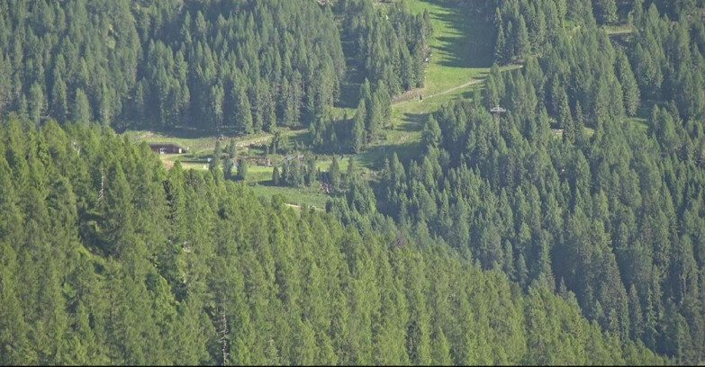 Webcam San Martino di Castrozza - Passo Rolle - Ces - Malga Valcigolera
