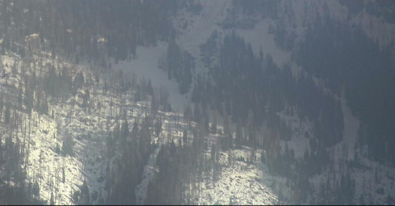 Webcam San Martino di Castrozza - Passo Rolle - Ski Area Col Verde