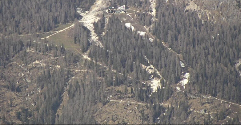 Webcam Сан-Мартино-ди-Кастроцца - Пассо-Ролле - Ski Area Col Verde