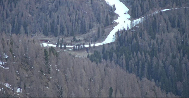 Webcam San Martino di Castrozza - Passo Rolle - Ski Area Col Verde